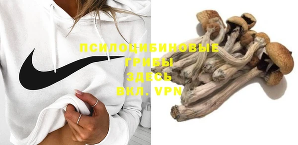 гидра Алексин