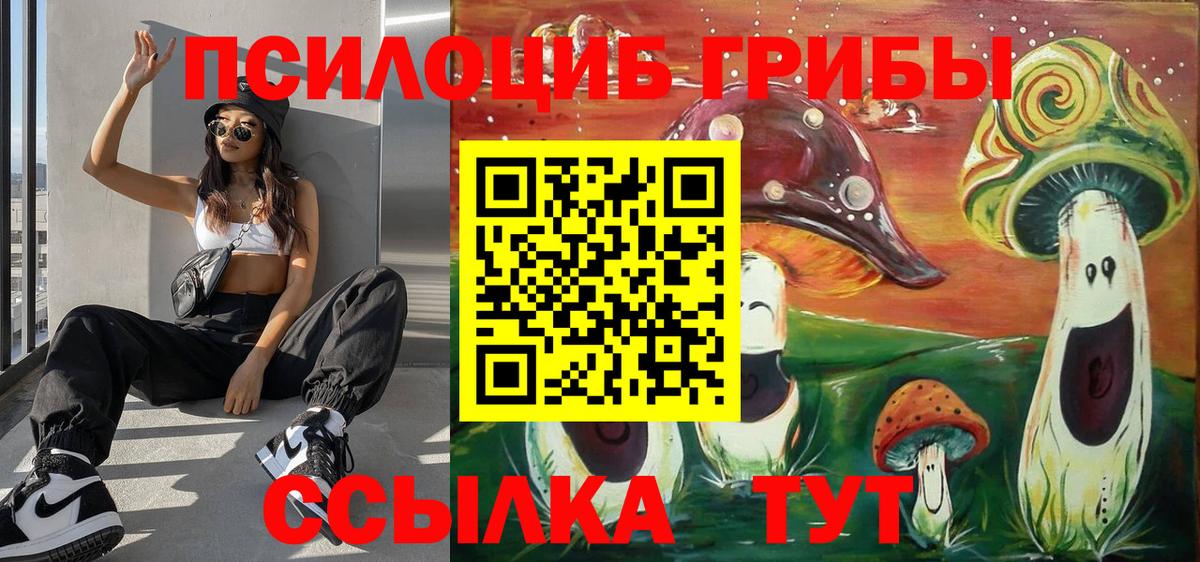 Находка  Псилоцибиновые грибы Psilocybine cubensis  Псилоцибиновые грибы ЛСД  Вход с VPN 
